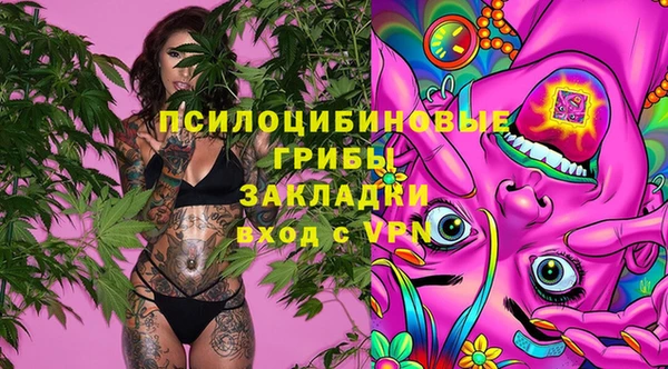 гидра Алзамай